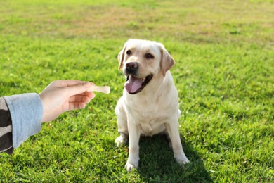 Image of Woman giving tasty bone shaped cookie to her dog outdoors, closeup