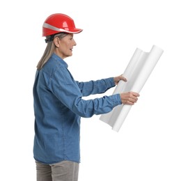 Photo of Architect in hard hat with draft on white background