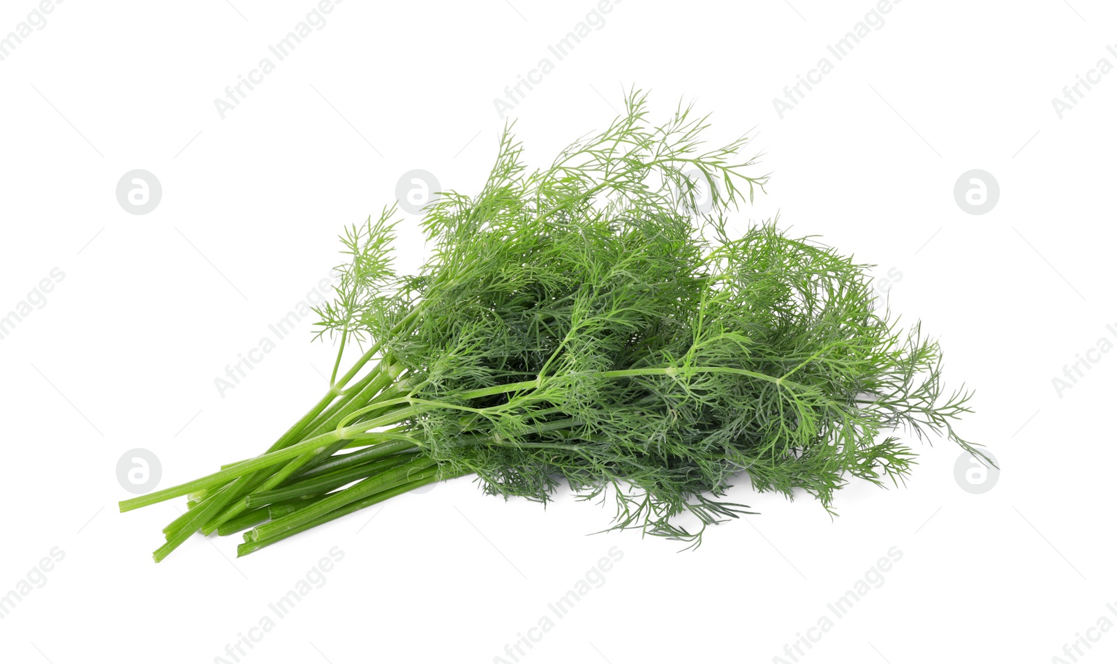 Photo of Sprigs of fresh dill isolated on white