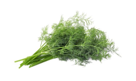 Sprigs of fresh dill isolated on white