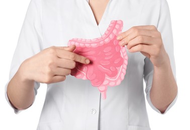 Doctor showing paper intestine cutout on white background, closeup