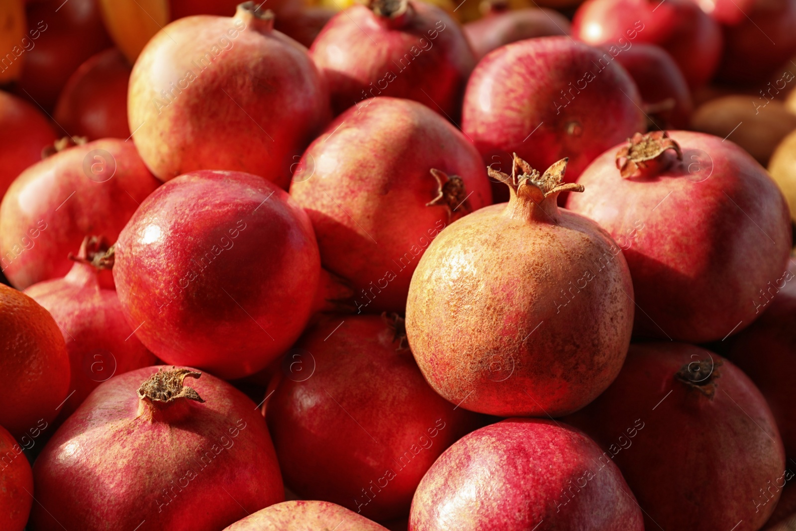 Photo of Juicy fresh ripe pomegranates, closeup. Wholesale market