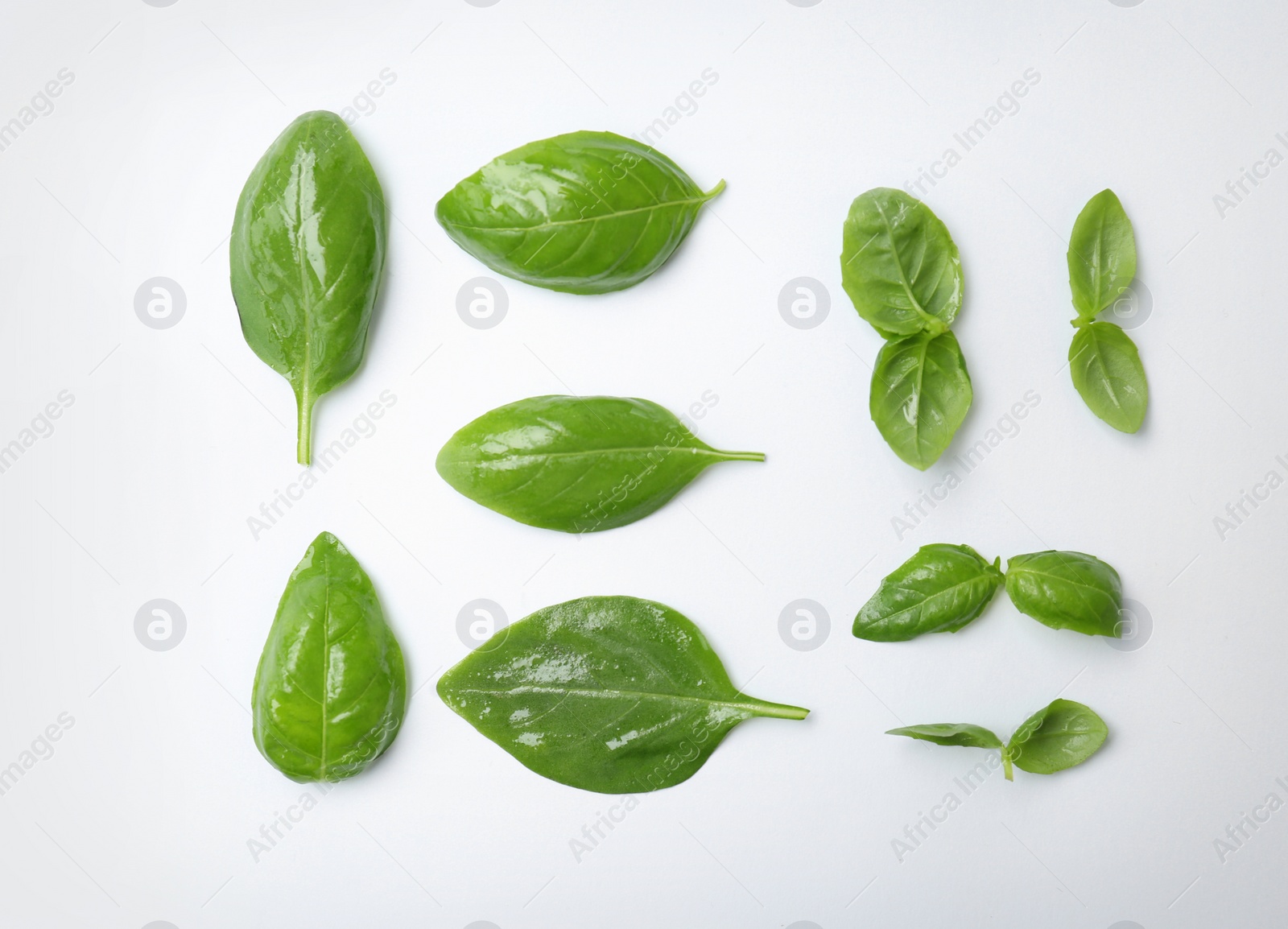 Photo of Fresh green basil leaves on white background, top view