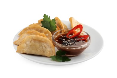 Delicious gyoza (asian dumplings) with soy sauce, pepper, parsley and sesame isolated on white