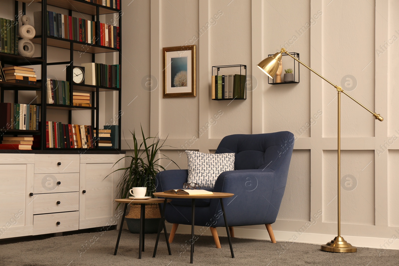 Photo of Cozy home library interior with collection of different books on shelves and comfortable place for reading