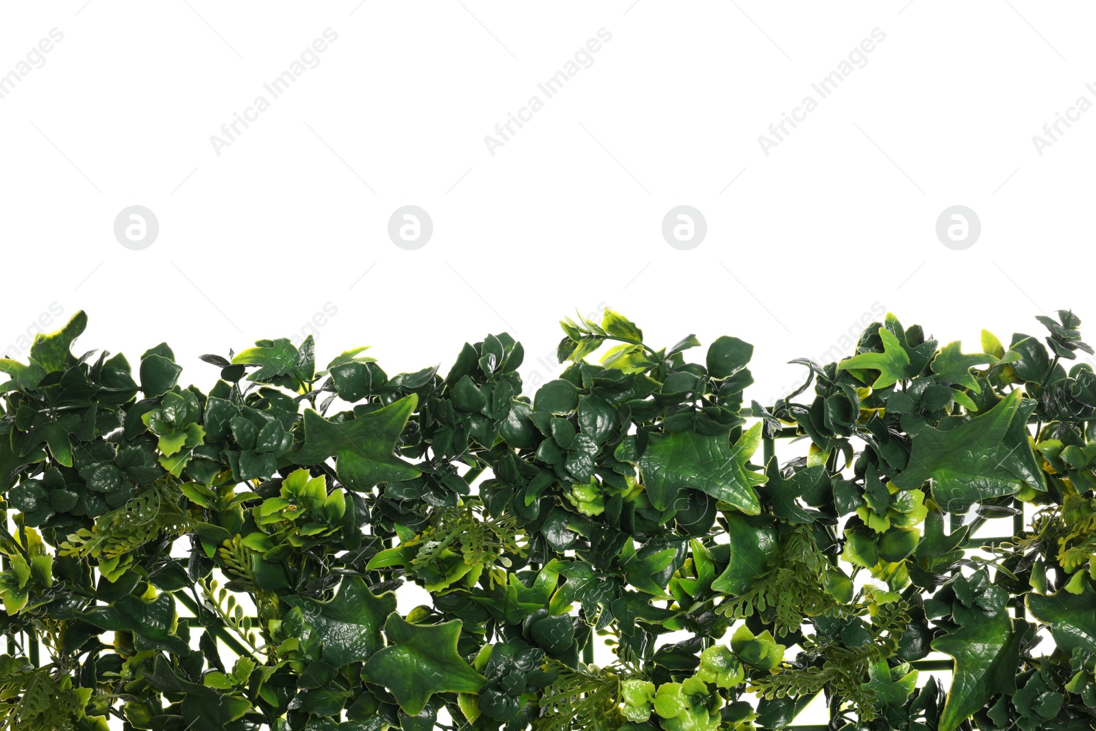 Photo of Green artificial plants with lush leaves isolated on white