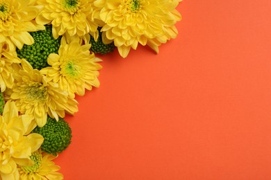 Beautiful chrysanthemum flowers on orange background, flat lay. Space for text