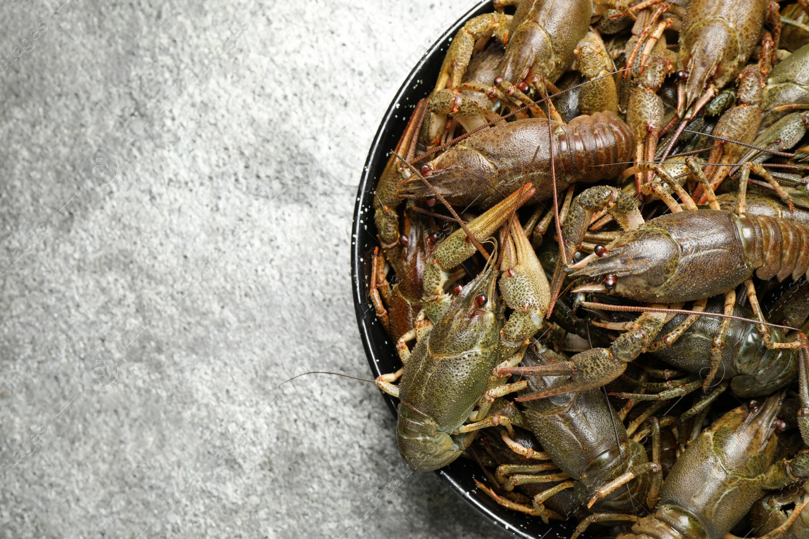 Photo of Fresh raw crayfishes on grey table, top view. Space for text