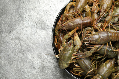 Photo of Fresh raw crayfishes on grey table, top view. Space for text