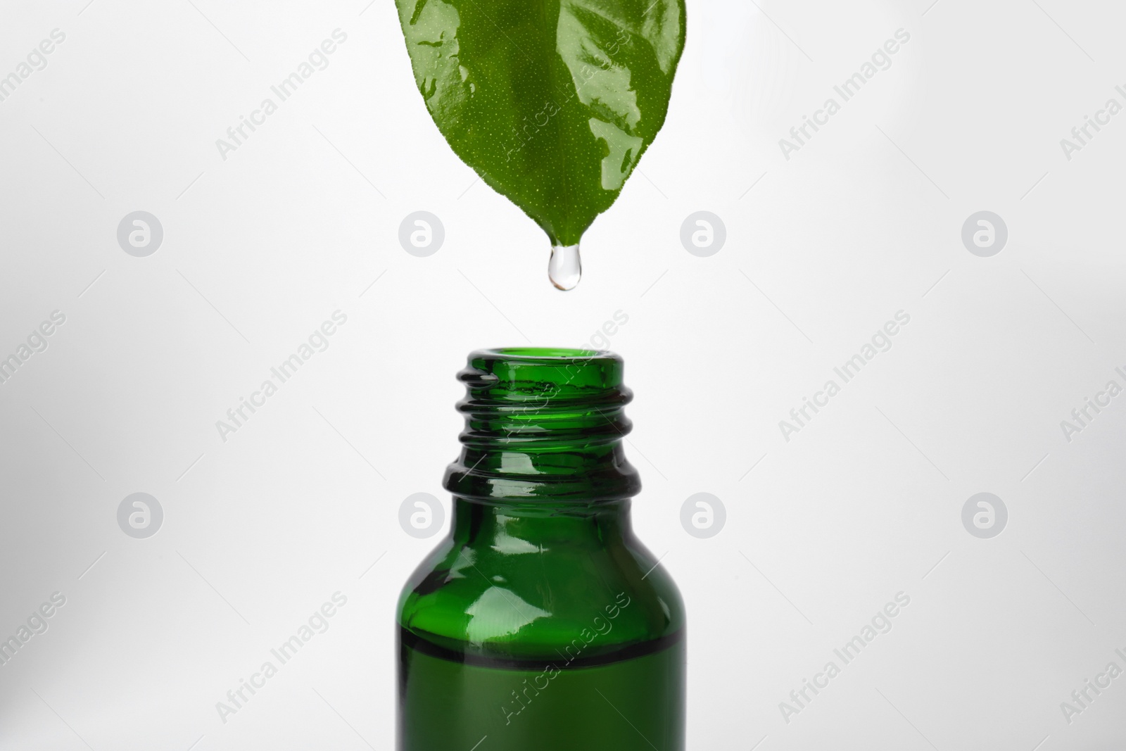 Photo of Essential oil dripping from green leaf into bottle against white background