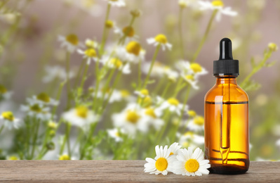 Image of Bottle of essential oil and chamomile flowers on wooden table against blurred background. Space for text