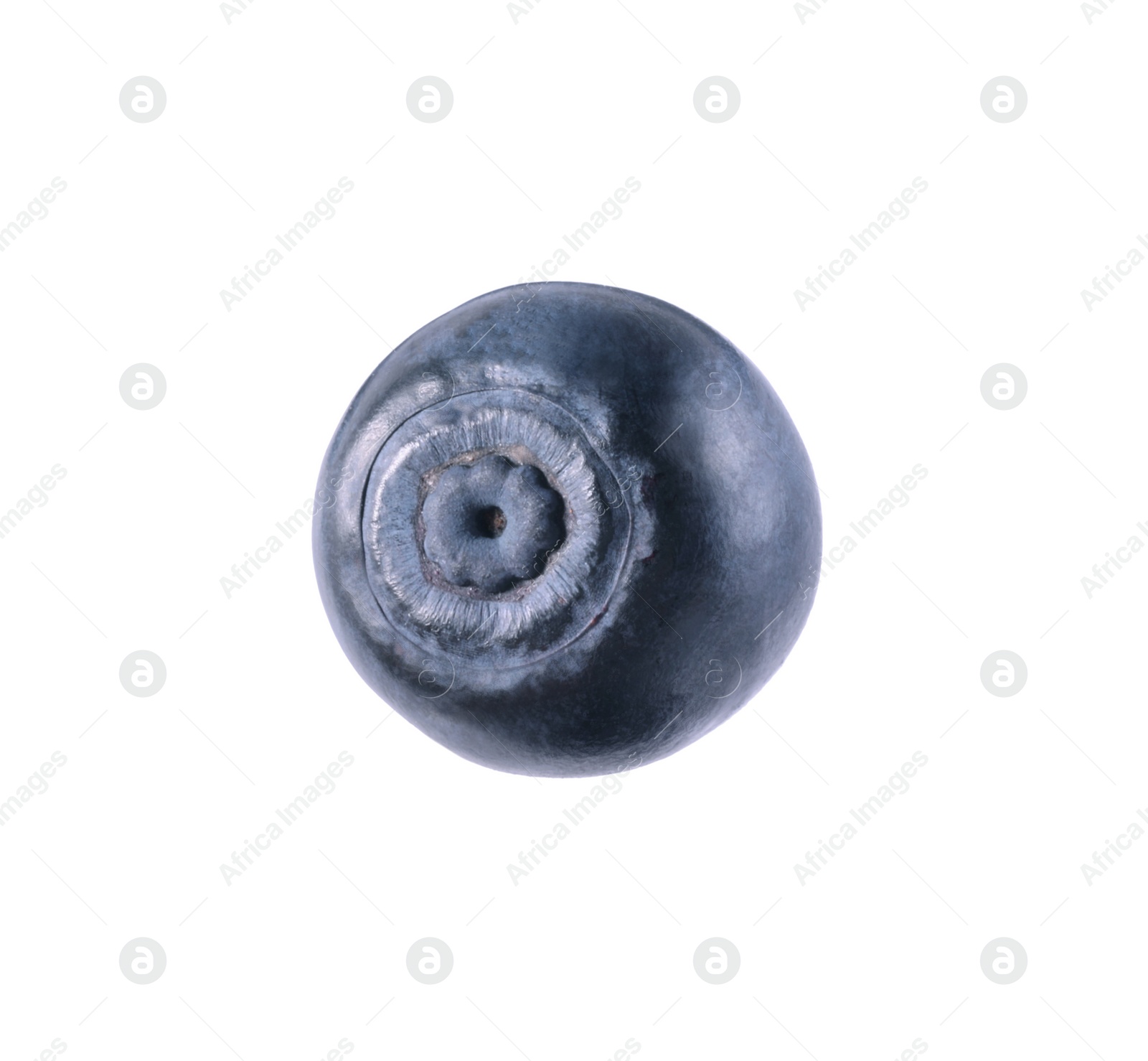 Photo of One ripe bilberry isolated on white. Seasonal berries