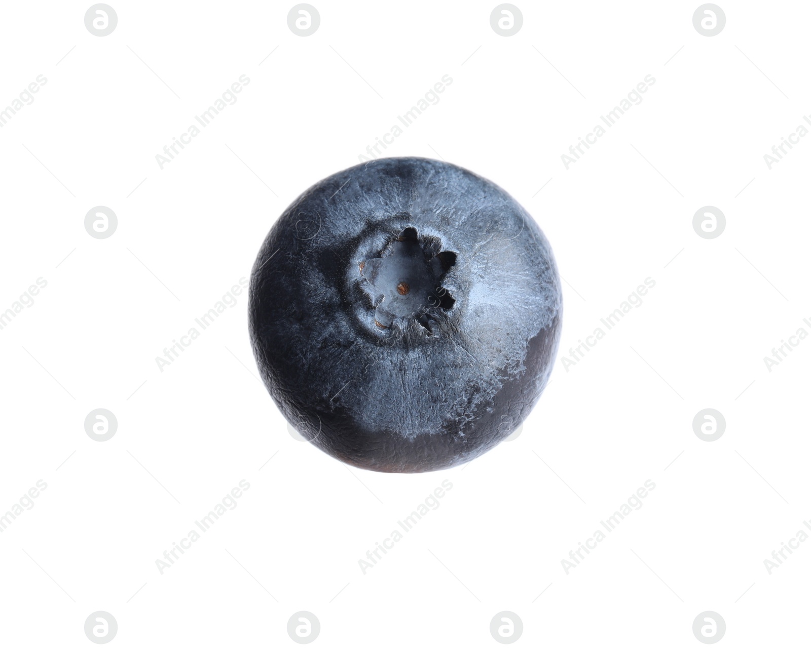 Photo of Whole fresh tasty blueberry isolated on white