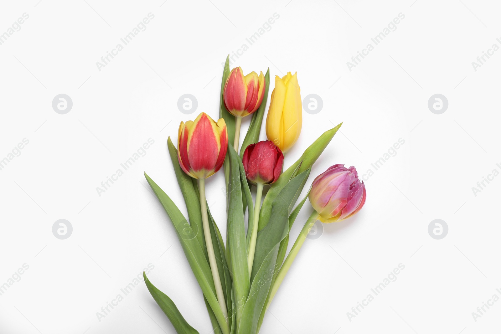 Photo of Beautiful colorful tulip flowers on white background, flat lay