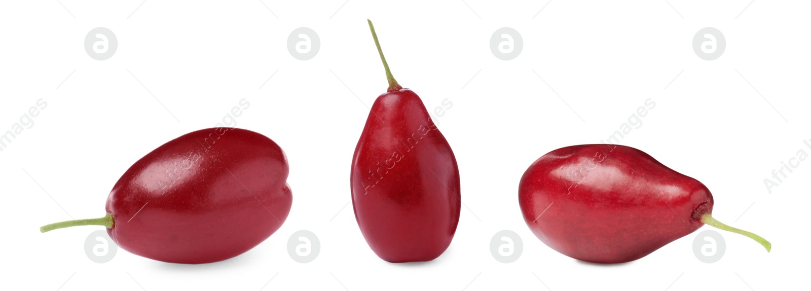 Image of Set of ripe red dogwood berries on white background, banner design