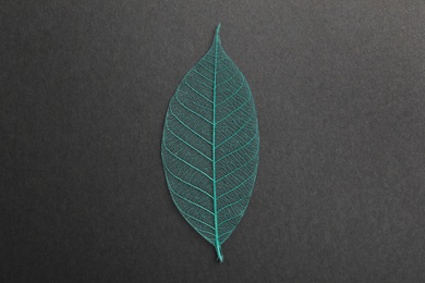 Beautiful decorative skeleton leaf on black background, top view