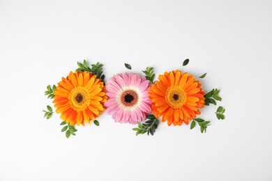 Photo of Flat lay composition with beautiful bright gerbera flowers on white background