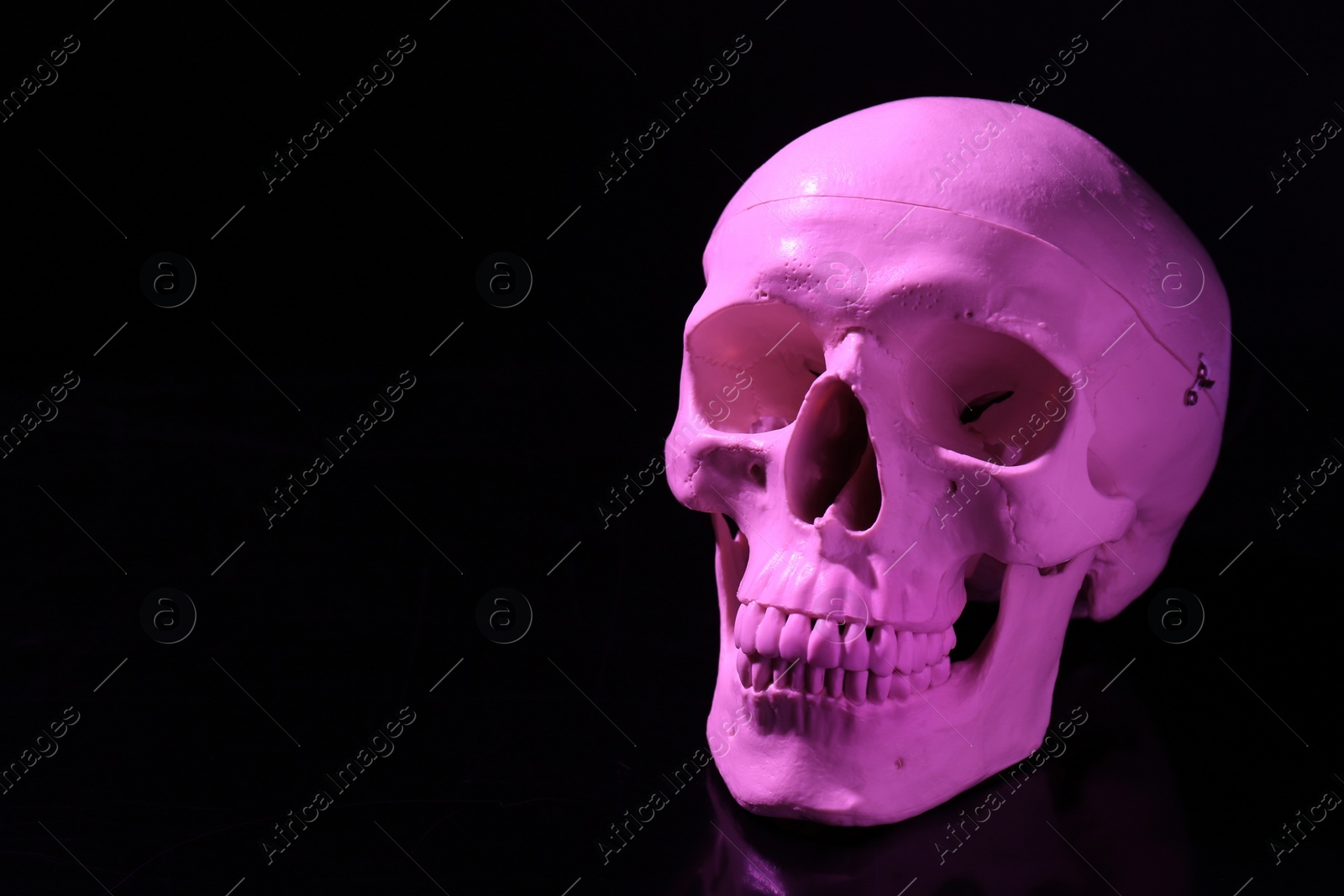 Photo of White human skull on black background, space for text