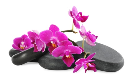 Orchid with spa stones on white background