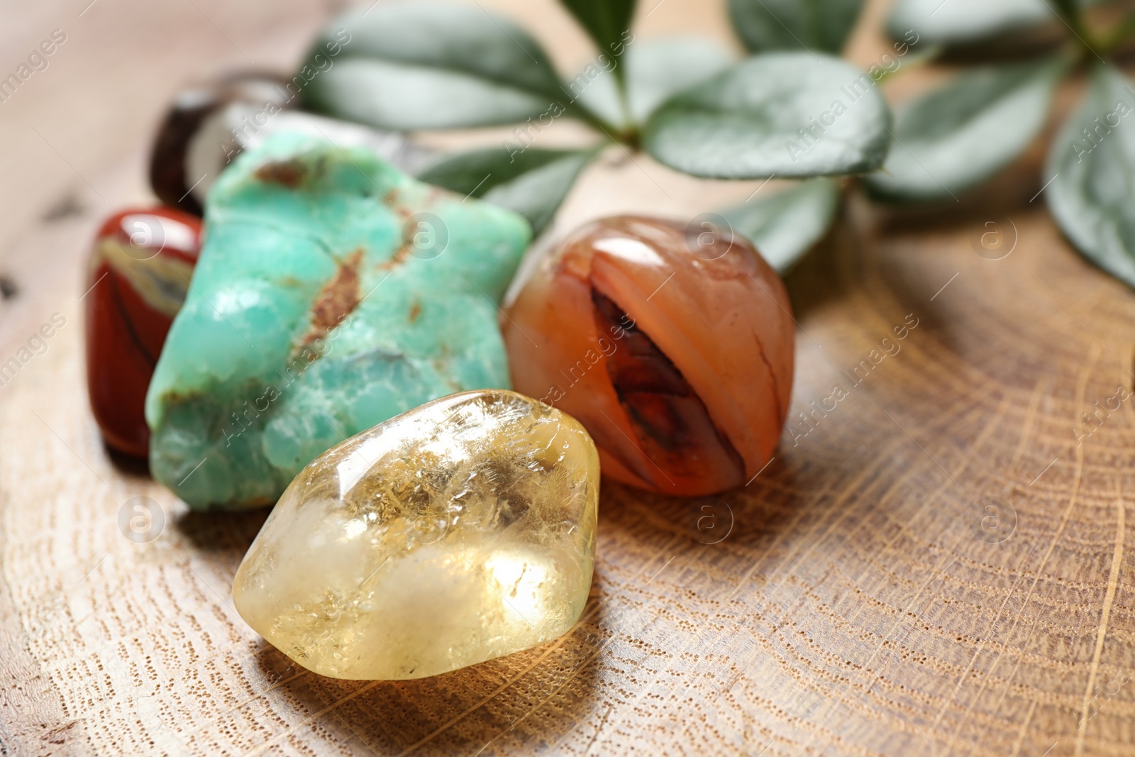 Photo of Citrine quartz and beautiful gemstones on wooden stand, closeup