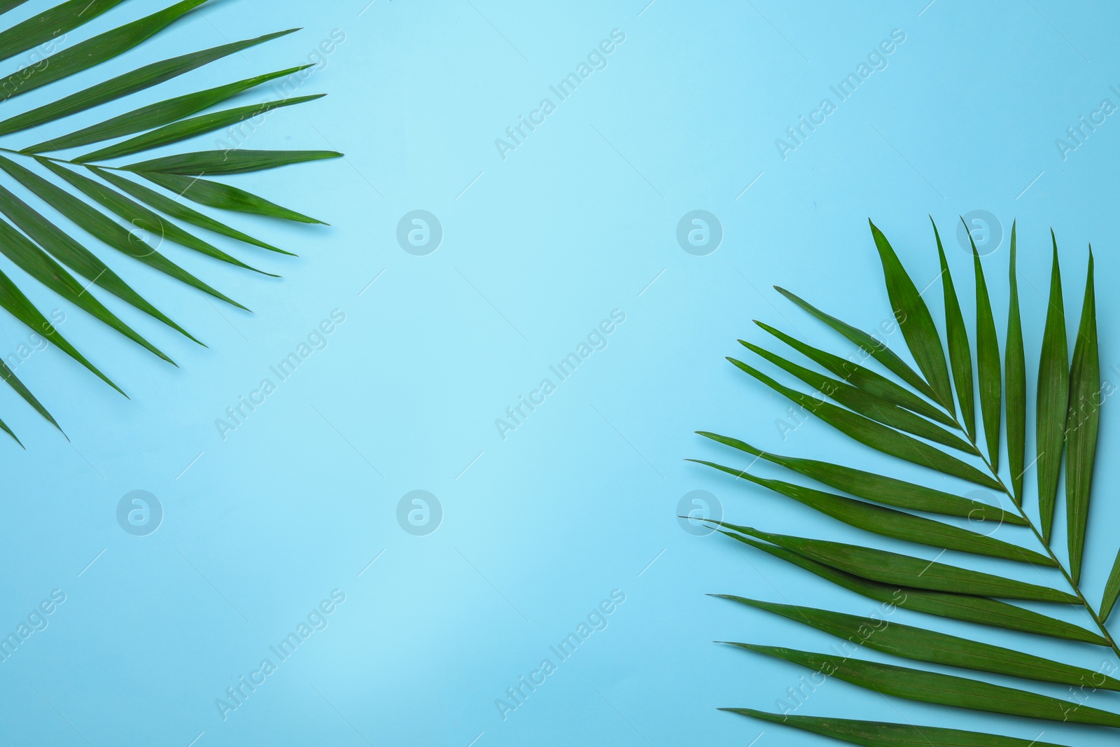 Photo of Flat lay composition with tropical areca palm leaves and space for text on color background