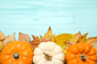 Flat lay composition with pumpkins and autumn leaves on light blue wooden table. Space for text