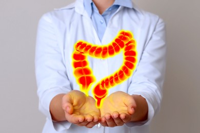 Image of Gastroenterologist holding illustration of large intestine on light background, closeup