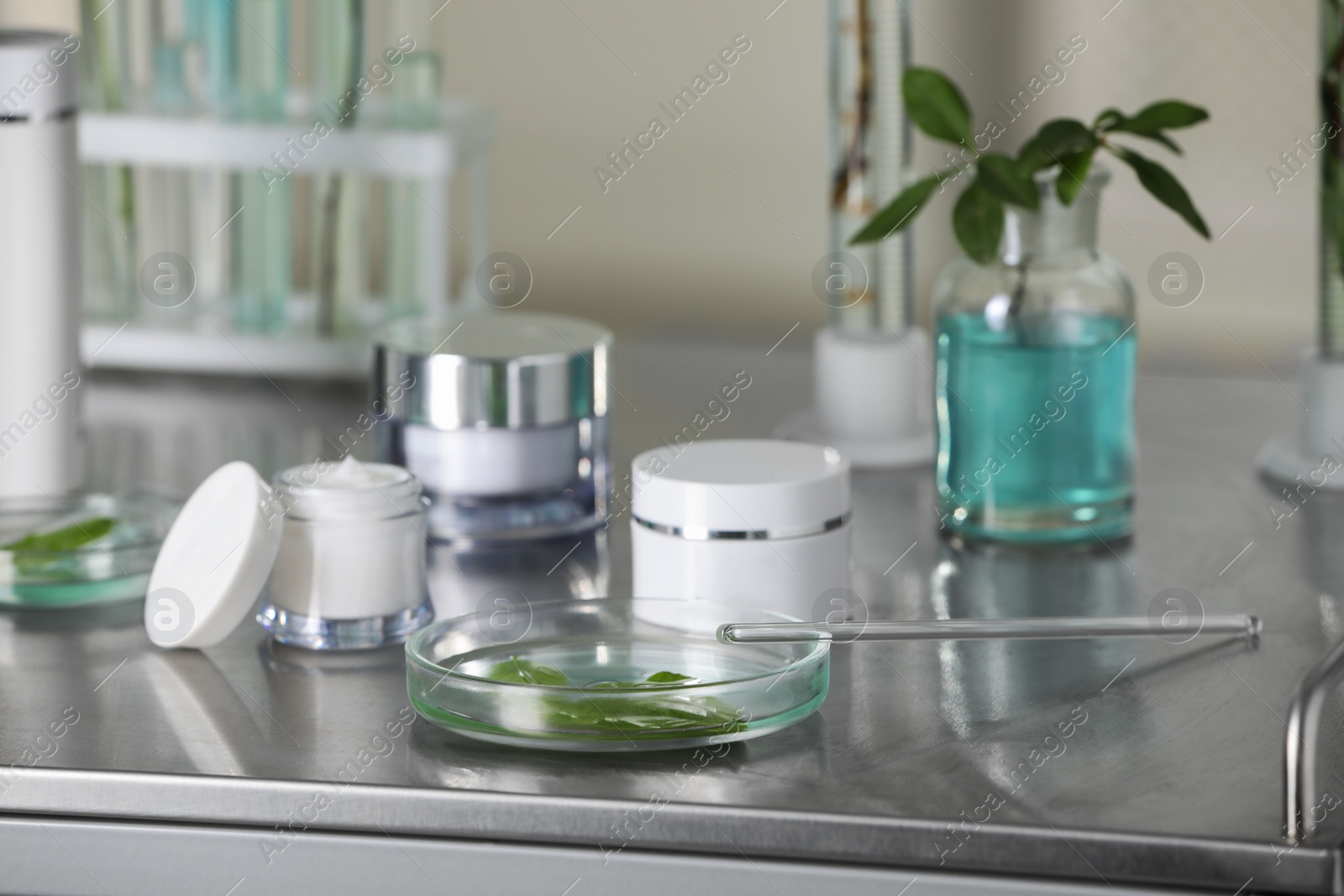Photo of Glass tubes, containers and petri dish with leaves on metal table indoors