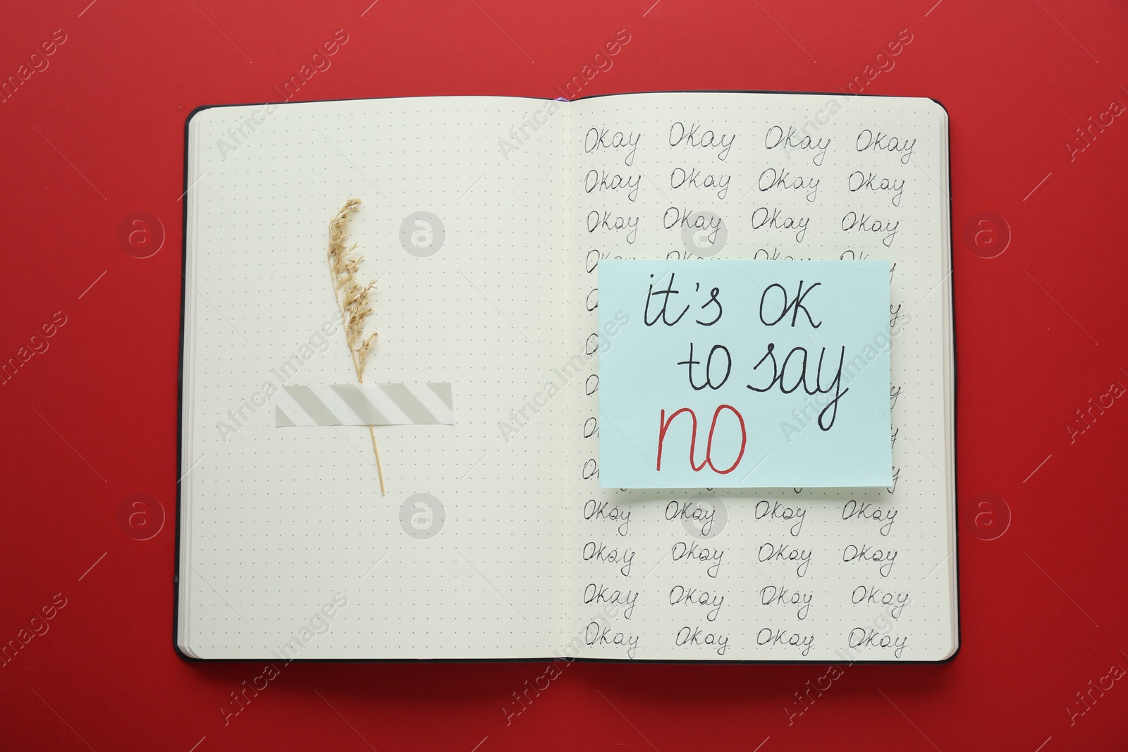Photo of Phrase It`s Ok to Say No and dry flower attached with adhesive tape in notebook on red background, top view