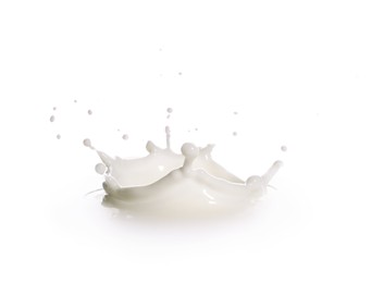 Splash of fresh milk on white background