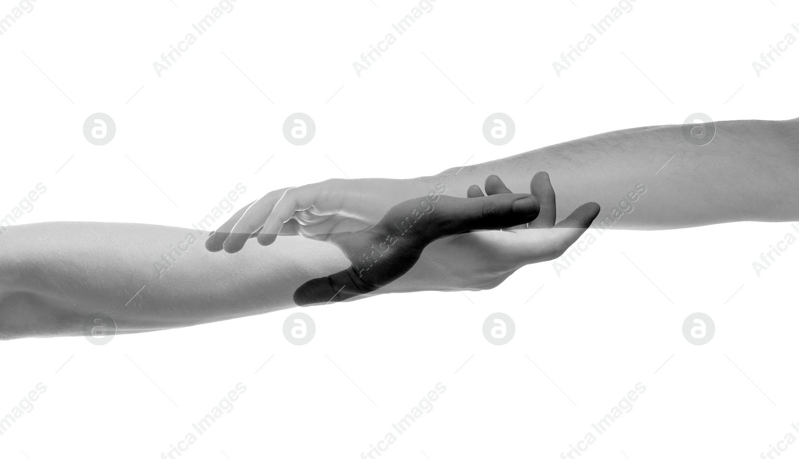 Image of Double exposure of people's hands on white background, closeup. Black and white effect