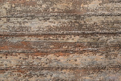 Photo of Texture of wooden surface as background, closeup view