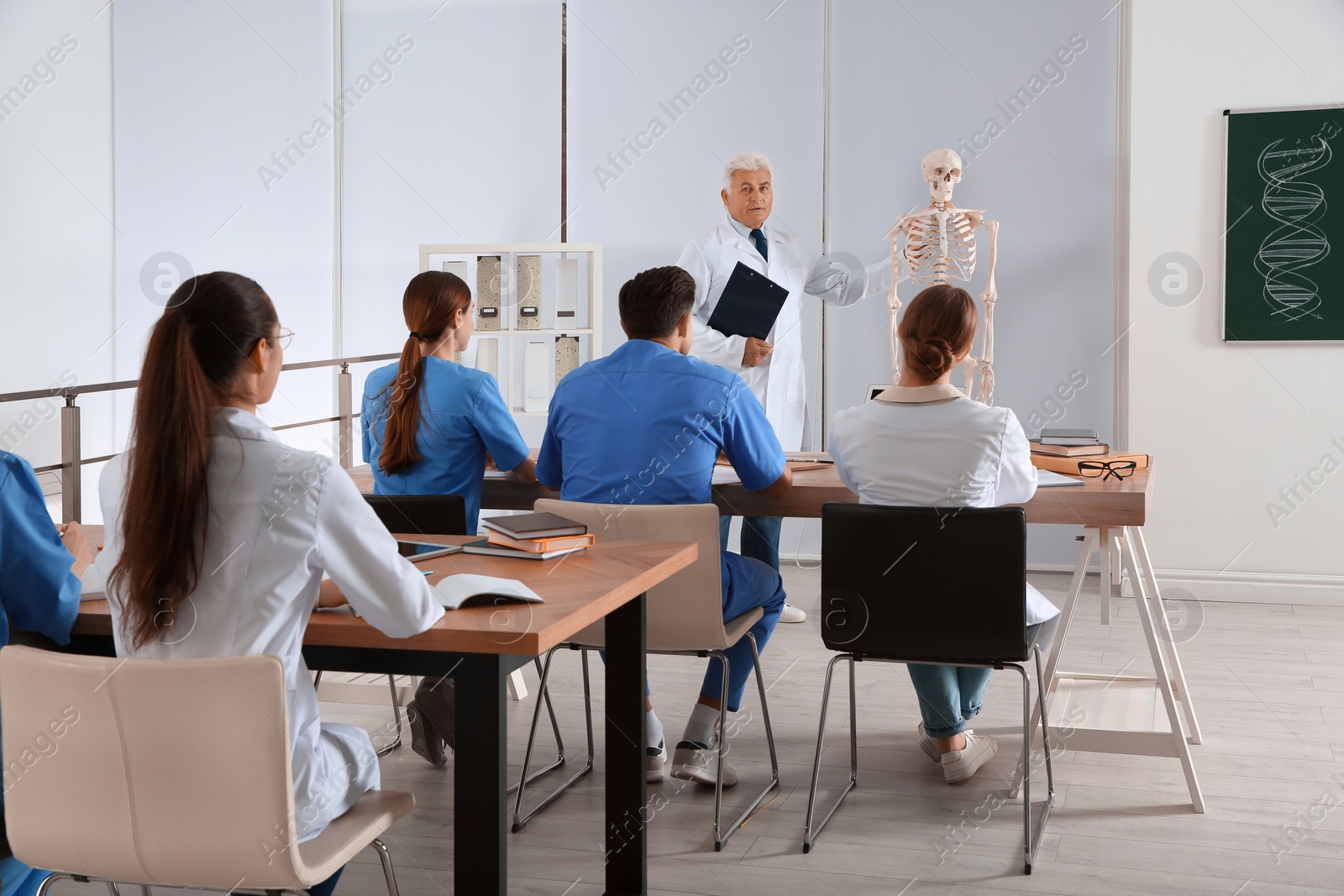 Photo of Medical students and professor studying human skeleton anatomy in classroom