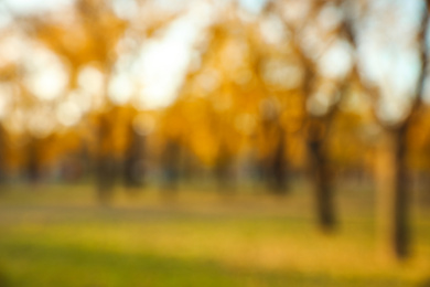 Blurred view of autumn park. Bokeh effect