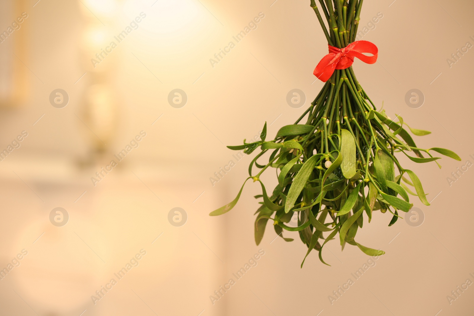 Photo of Mistletoe bunch with red bow on blurred background, space for text. Traditional Christmas decor