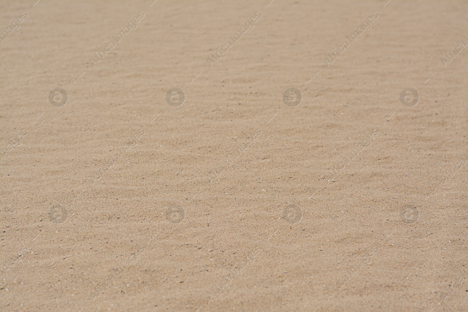 Photo of Dry beach sand as background, closeup view