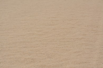 Photo of Dry beach sand as background, closeup view