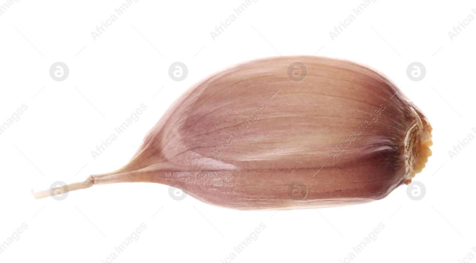 Photo of One unpeeled clove of garlic isolated on white