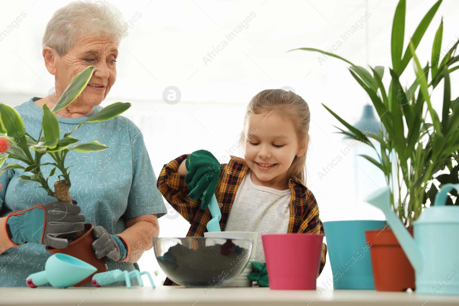 Photo of Little girl and her grandmother taking care of plants indoors