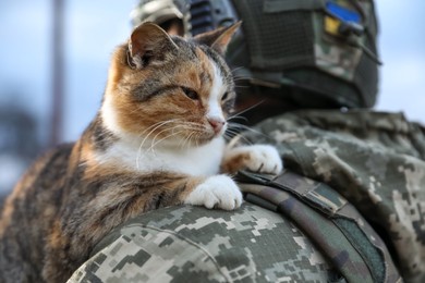 Little stray cat on Ukrainian soldier's shoulder outdoors, closeup