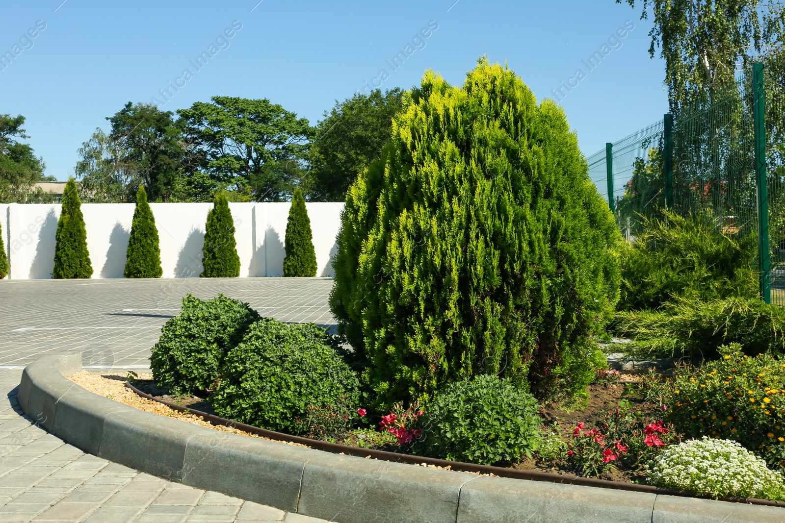 Photo of Picturesque view of beautiful green plants on sunny day