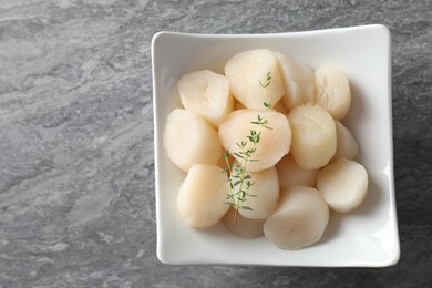 Photo of Fresh raw scallops and thyme in bowl on grey table, top view. Space for text