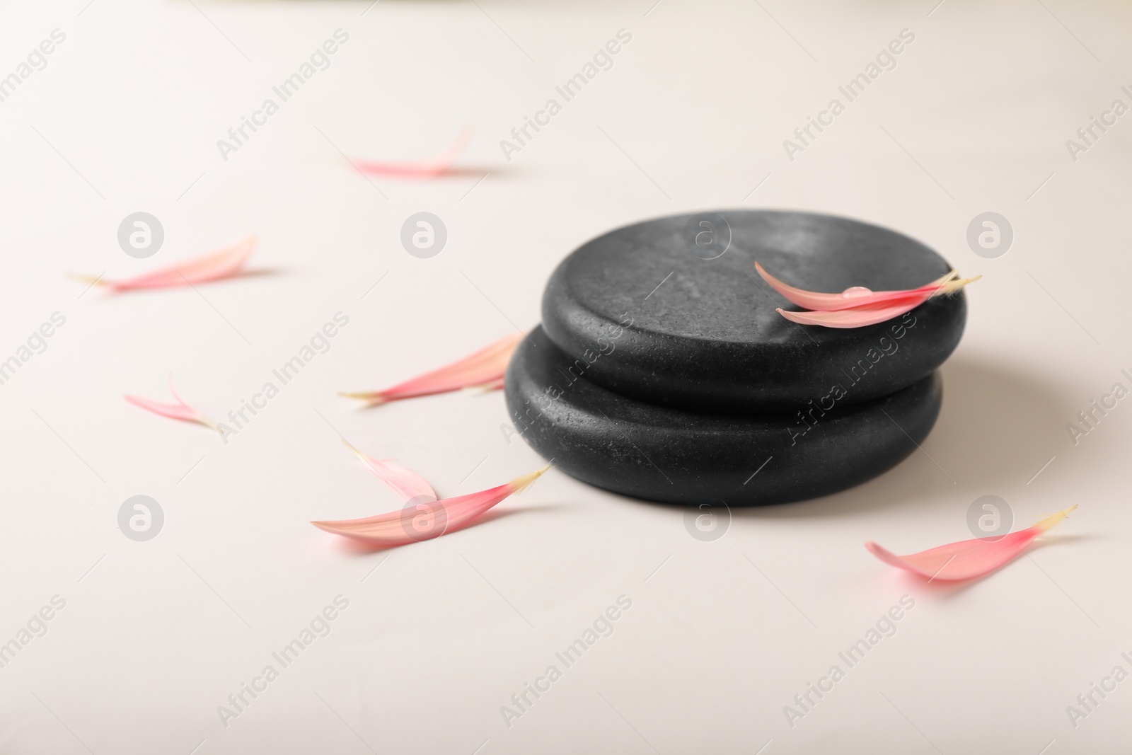 Photo of Stacked spa stones with flower petals on light background. Space for text