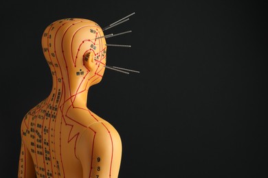 Photo of Acupuncture - alternative medicine. Human model with needles in head on black background, space for text