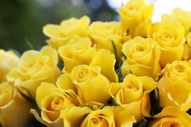 Photo of Beautiful bouquet of yellow roses outdoors, closeup