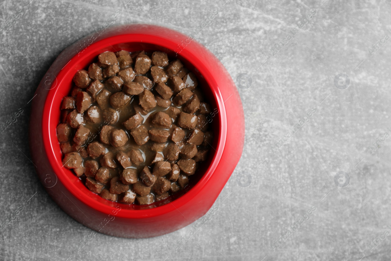 Photo of Wet pet food in feeding bowl on light grey background, top view. Space for text