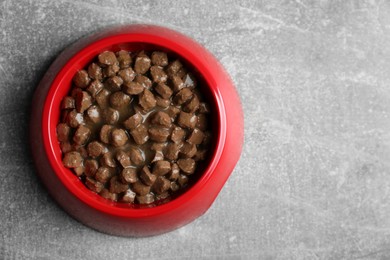 Wet pet food in feeding bowl on light grey background, top view. Space for text