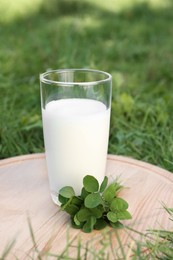 Photo of Glass of fresh milk and green leaves on wooden board outdoors