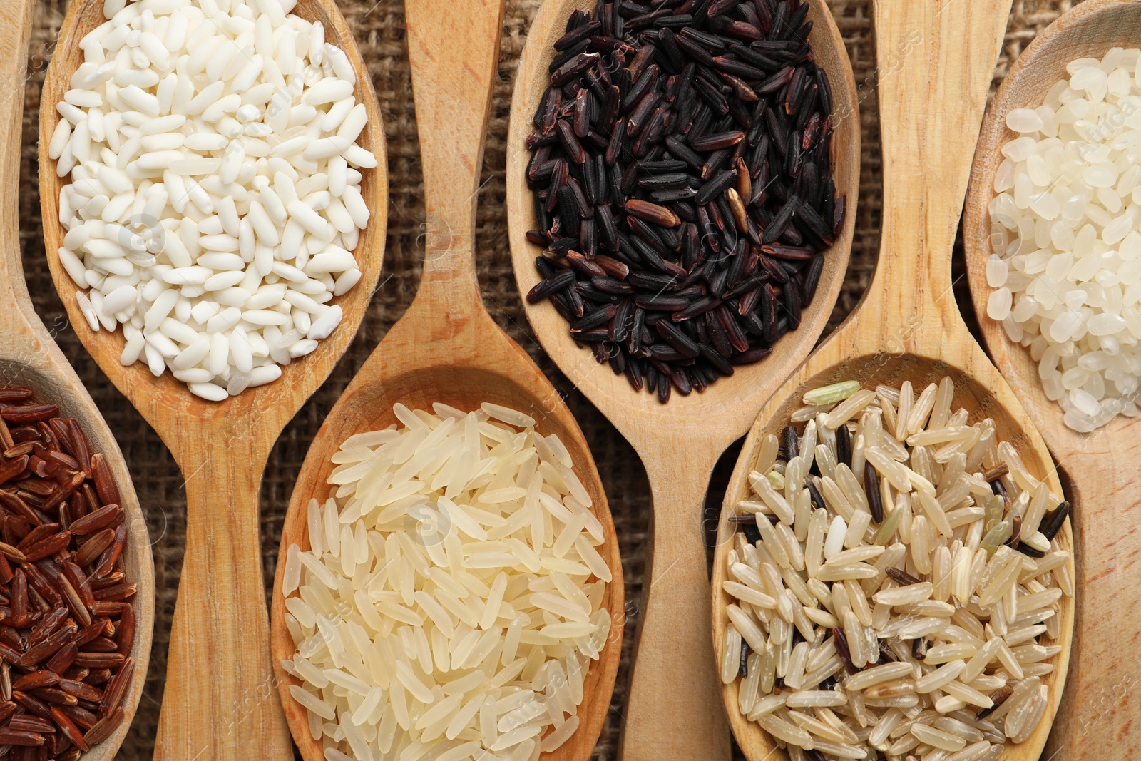 Photo of Spoons with different sorts of rice on burlap fabric, flat lay