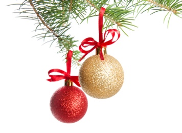 Photo of Christmas tree branch with balls on white background